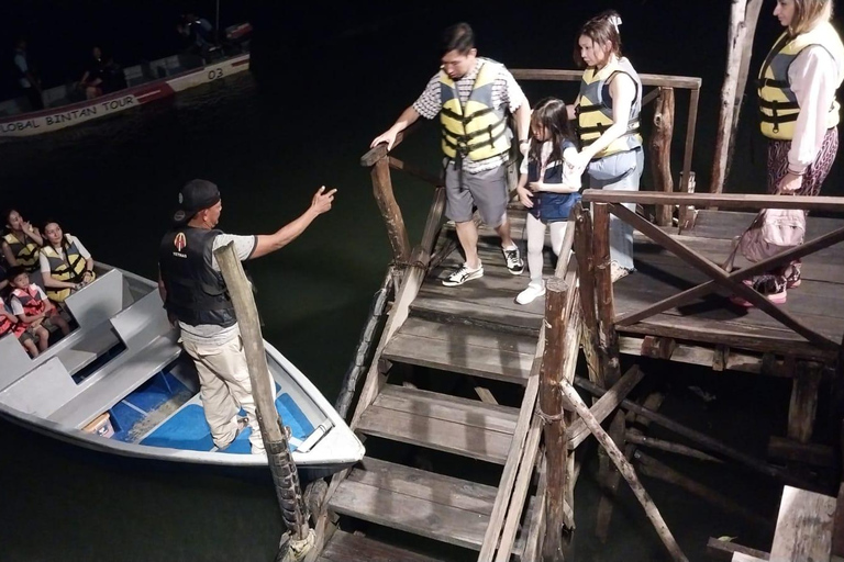 Bintan car charter + Driver Bintan Car Rent