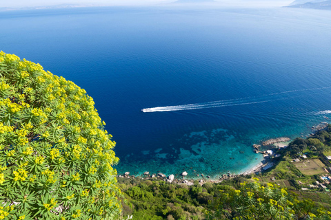 Amalfi Coast: Tour of the spectacular Amalfi Coast by sea DEPARTURE FROM TORRE DEL GRECO
