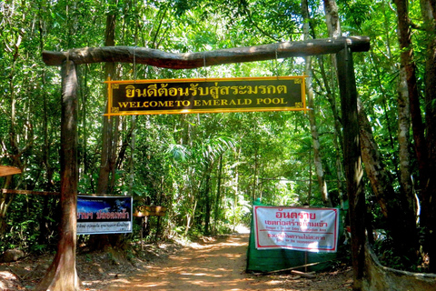 Krabi: Cattery's Ultimate Jungle Odyssey w/ Thrilling Addons Emerald Pool + Krabi Hot Spring + Tiger Temple + 30 min ATV