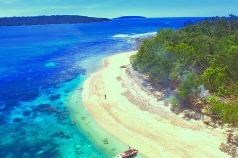 Santo: Tagestour zum Meeresschutzgebiet Dany Island mit Mittagessen