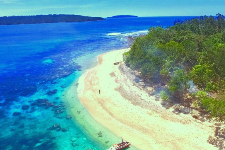 Santo: Tagestour zum Meeresschutzgebiet Dany Island mit Mittagessen