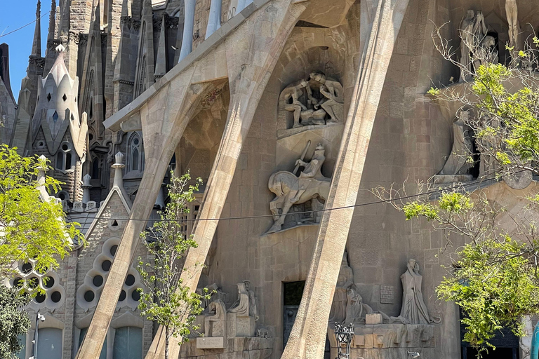 Guided Tour of Sagrada Familia - Gaudi's dream