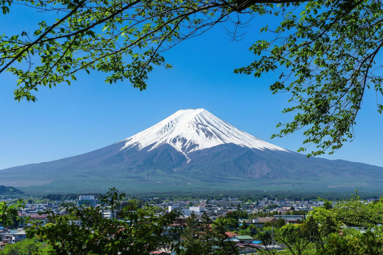Tokyo: Mt Fuji & Oishi Park, Oshino Hakkai, Chureito Pagoda Free Karaage Chicken Set | Tokyo Station 8:00AM