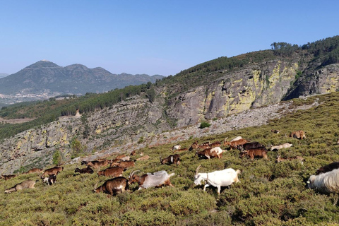GIORNATA INTERA - PARCO DI ALVAO - CASCATE DI FISGAS ERMELO CON TRASFERIMENTOGIORNATA INTERA - PARCO DI ALVÃO - CASCATE DI FISGAS ERMELO CON TRASFERIMENTO