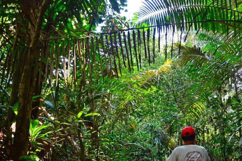 Iquitos: 2 dagar i Amazonas, världens naturliga underverk