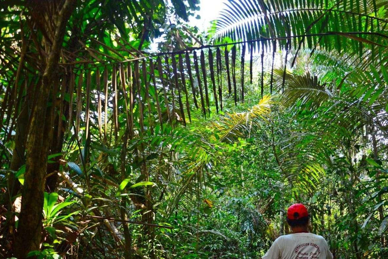 From Iquitos || Navigate the Amazon River - Full day ||