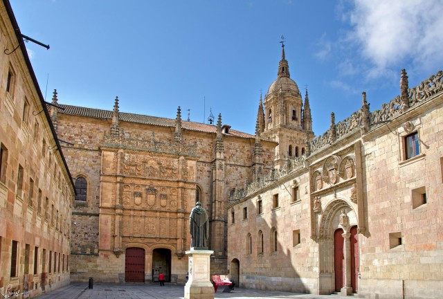 Visit Salamanca University and Colleges Walking Tour in Salamanque