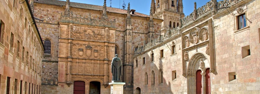 Salamanque : Visite à pied des universités et collèges (privée)