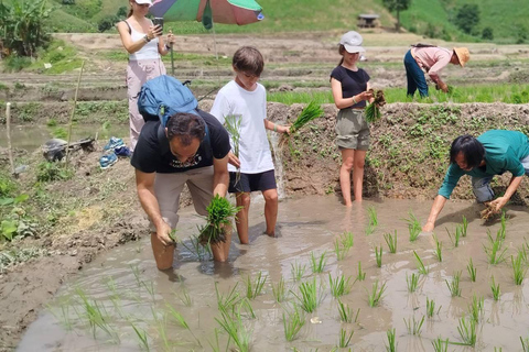 Chiang Rai: 1-Day Trekking and Longtail Boat Trip