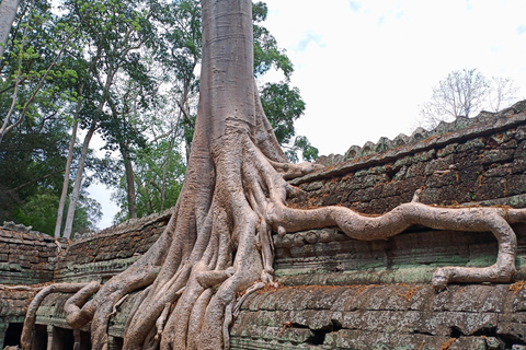 Sonnenaufgang in Angkor Wat mit einer Gruppe von Teilnehmern