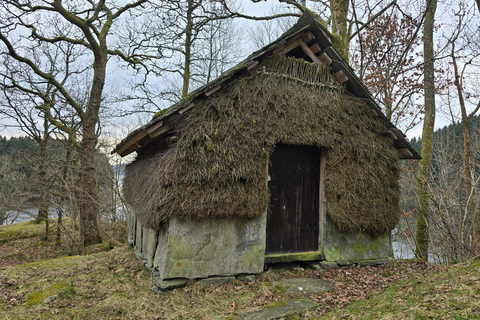 Bergen in Tesla: dall&#039;età del ferro alla vita modernaTour di 3 ore