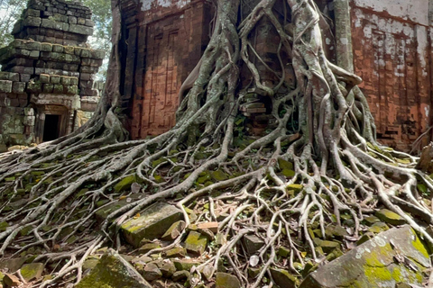 Tour privato di un giorno Preah Vihear, Koh Ker e Beng MealeaMinivan