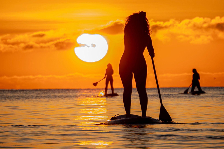 Barcelona: Excursión en Paddleboard al amanecer con fotos&amp;vídeos4k