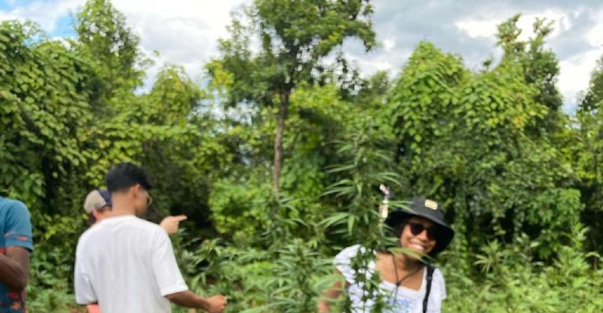 Montego Bay, Marijuana Farm and Bird Sanctuary Tour yakınlarında yapılacak şeyler - Hizvo