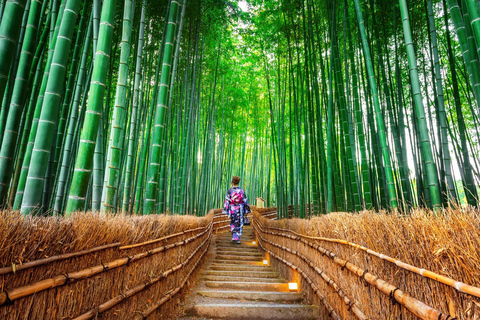 Tokyo: Kamakura One-Day Private Customizable Tour Tokyo: Kamakura One Day Private Customizable Tour