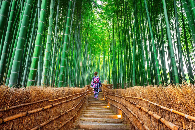 Tokyo: Kamakura One-Day Private Customizable Tour Tokyo: Kamakura One Day Private Customizable Tour