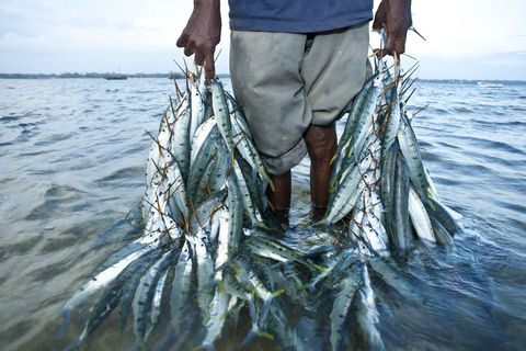 Mombasa: Mkupe Creek Sunset Boat Tour with Fishing