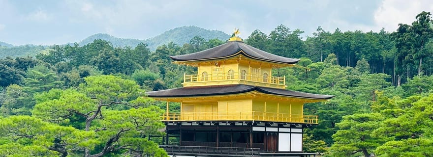 Visite privative personnalisée d'une journée complète à Kyoto et Nara, avec prise en charge.