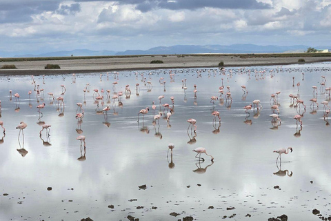 Nairobi: 4 Days epic trip to Amboseli, Tsavo West & East