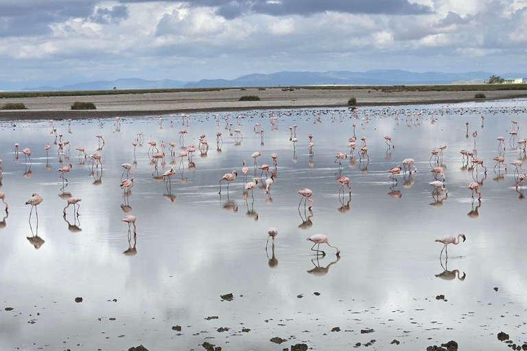 Nairobi: 4 Days epic trip to Amboseli, Tsavo West & East