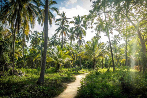 Excursão ao Parque Tayrona e Cabo San Juan