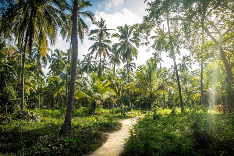 Excursão ao Parque Tayrona e Cabo San Juan