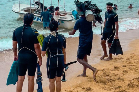 Mirissa Whale Watching, Turtle Snorkeling &Coconut Hill Tour Private Tour from Colombo, Negombo or Mount Lavinia