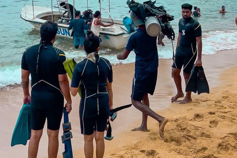 Mirissa Whale Watching, Turtle Snorkeling &Coconut Hill Tour Private Tour from Colombo, Negombo or Mount Lavinia