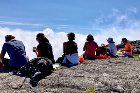 Pico-eiland: Beklim de berg Pico, de hoogste berg van Portugal