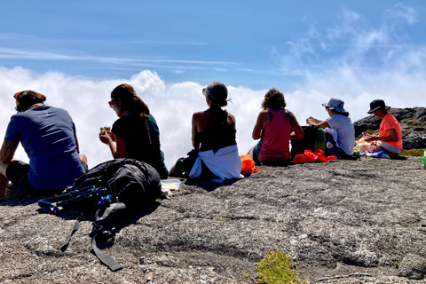 Pico island: Climb Mount Pico, highest mountain in Portugal