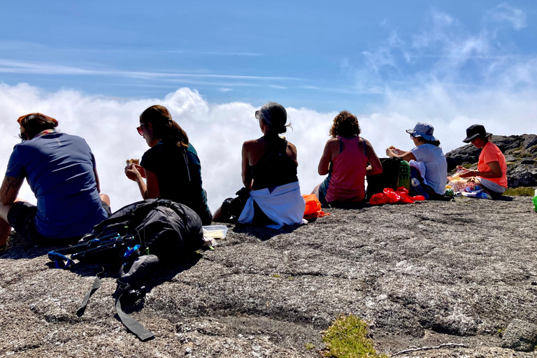 Pico island: Climb Mount Pico, highest mountain in Portugal