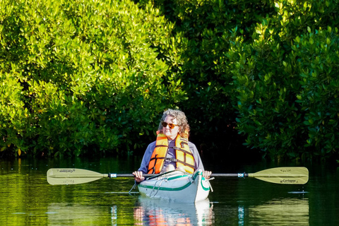 Sea Kayak Tour - Mangrove Safari