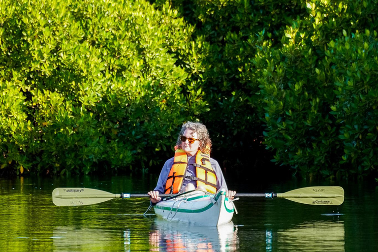 Sea Kayak Tour - Mangrove Safari