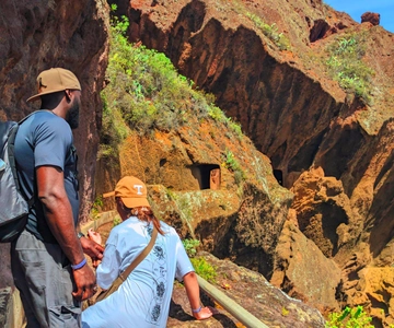 Tenerife: Hiking Tour in Anaga Mountains & Enchanted Forest