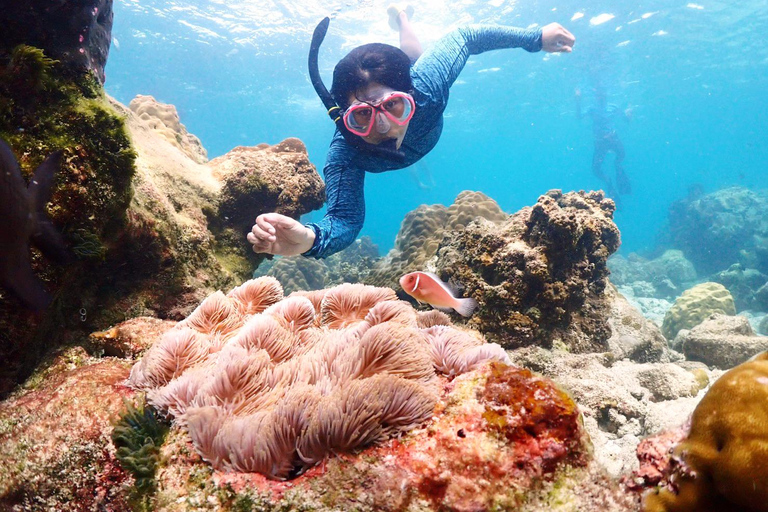 Experiência de dia inteiro de mergulho com snorkel saindo de BangkokDe Bangkok: Passeio de mergulho com snorkel na Baía de Samae Sarn com almoço