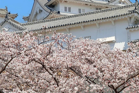 Osaka/Kyoto:Ono Sakura & Himeji Castle Cultural Day Trip Small Group(from/to Osaka)