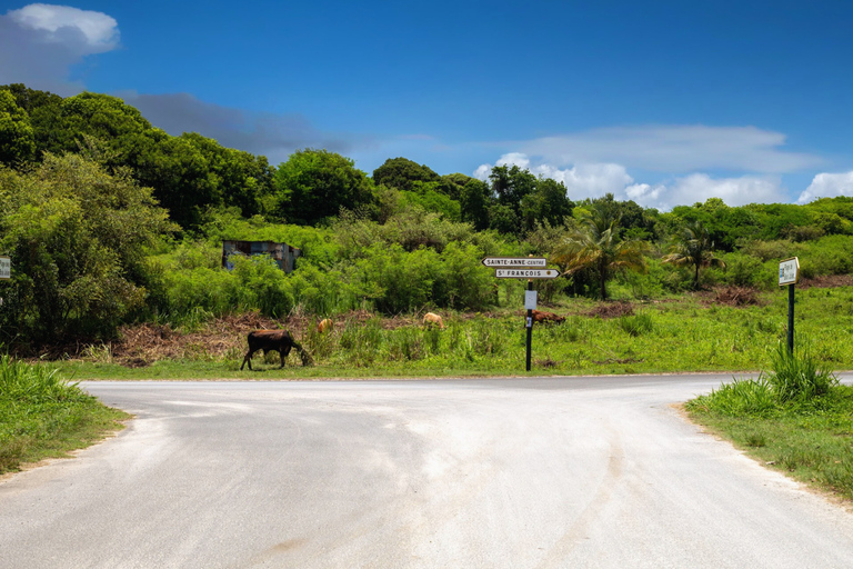 Guadeloupe: Discover Sainte-Anne and its must-sees by e-bike Guadeloupe: Discover Sainte-Anne and its must-sees by electric bike