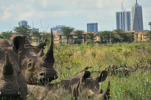 Parque Nacional de Nairobi: medio día en safari para ver leones y rinocerontesParque Nacional de Nairobi: tour privado de medio día