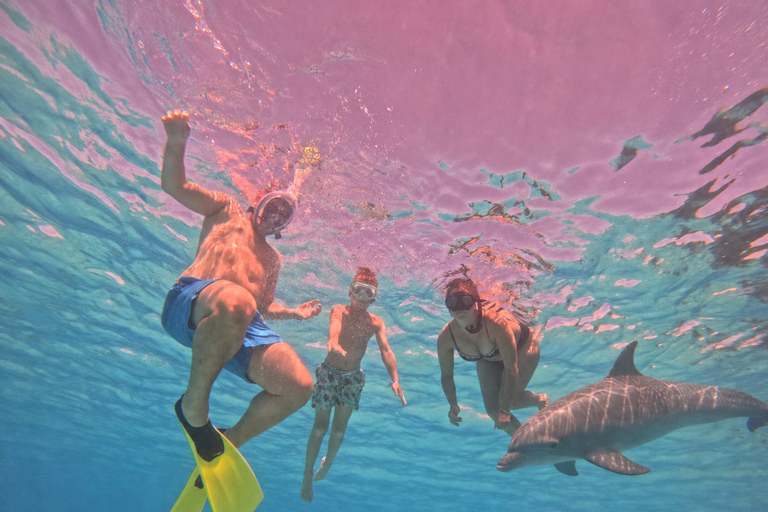 Hurghada: Dolphin House Speedboat Trip & Swim with Dolphins Group Dolphin Watching, Swimming and Snorkeling with Fruits