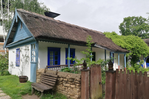 Visita panorâmica de Bucareste com três paragens e duas visitas.