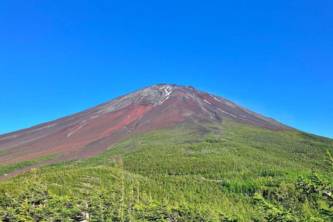 Mt. Fuji Guided Summit Climb with Mountain Hut Stay From Tokyo by Public Transit