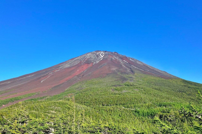 Mt. Fuji Guided Summit Climb with Mountain Hut Stay From Tokyo by Public Transit
