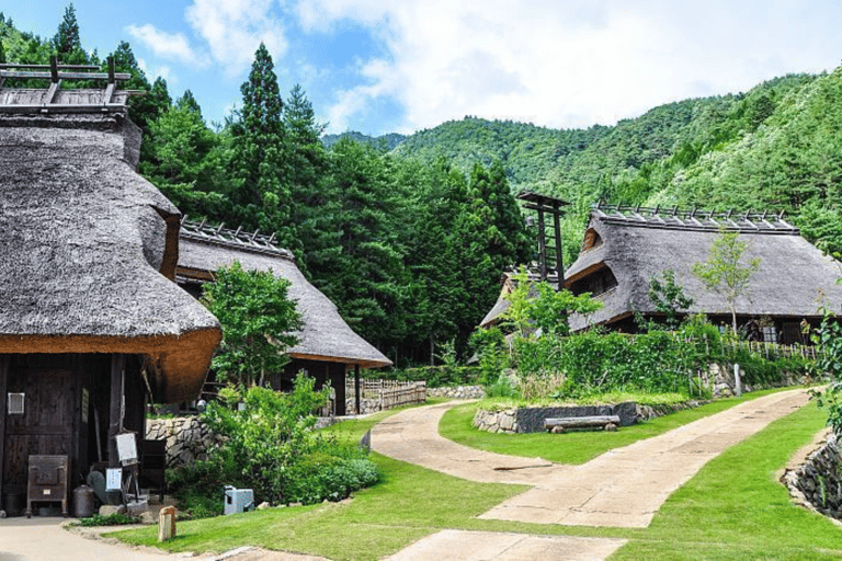 Mt Fuji Sightseeing Private tour with English Speaking Guide