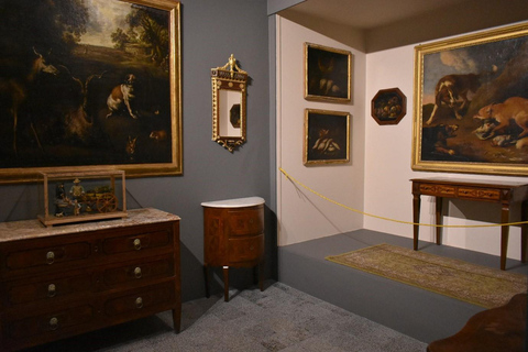 Mdina: St. Paul's Cathedral and Mdina Museum Entrance Ticket