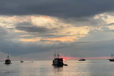 Labuan Bajo: Luxury 2-Days 1-Night Komodo Sailing Tour