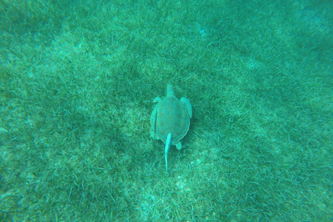From Fajardo: Snorkeling and Beach Day in Culebra