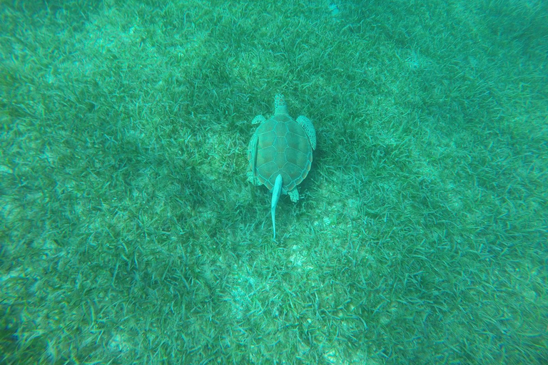 From Fajardo: Snorkeling and Beach Day in Culebra