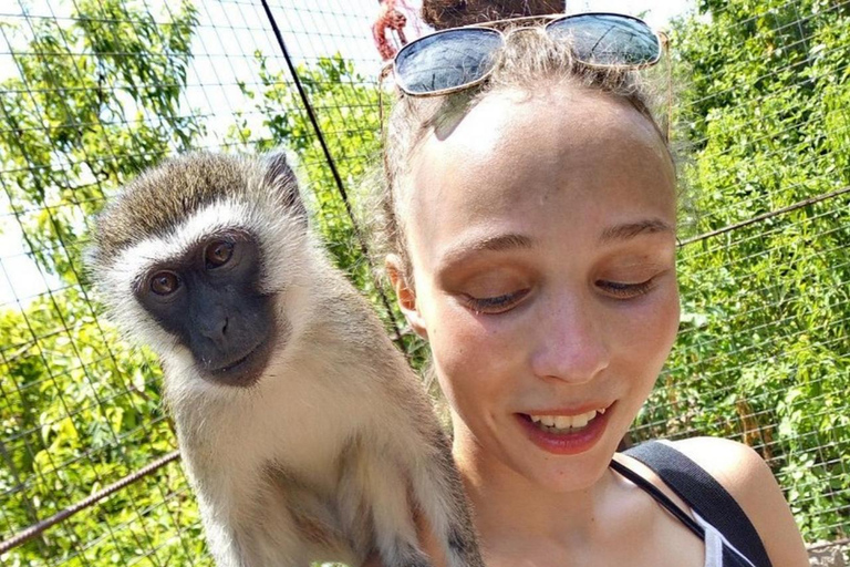 Zanzibar: Nungwi kilosa Conservation zoo half day tour Private tour for the gusts from Nungwi only