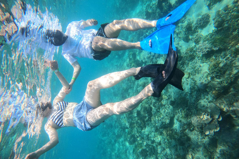 Gili Islands: Snorkeling Sharing Group Tour with Photos
