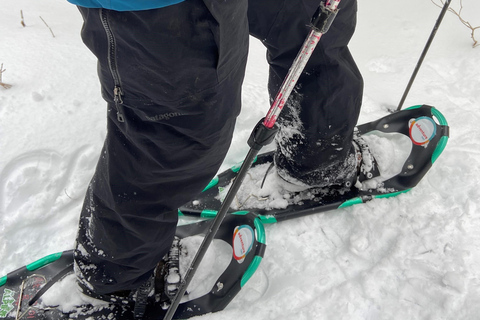 Guided Winter Snowshoe Adventure from Boston
